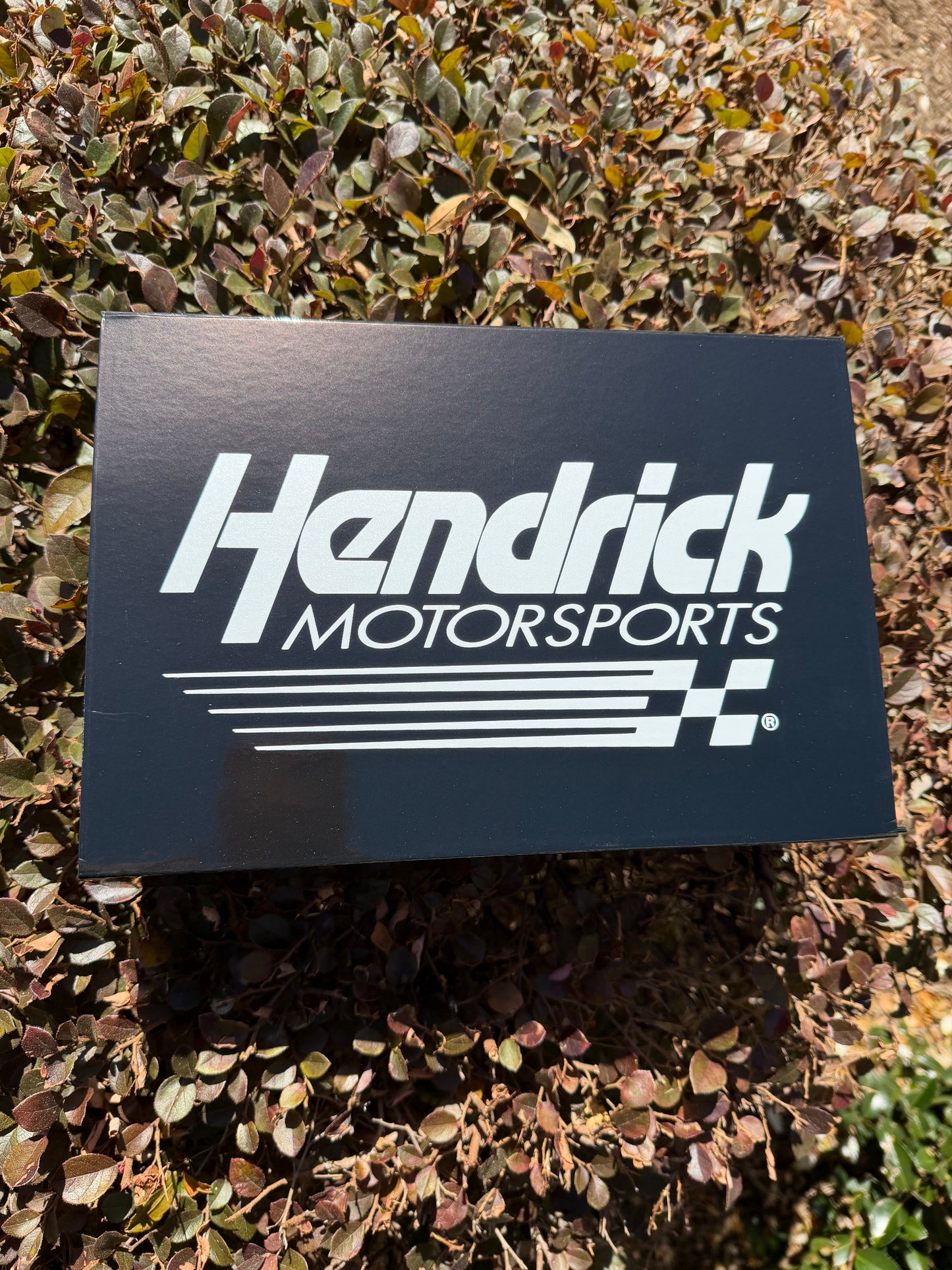 Z- Beth Jones - Custom boxes with Logos