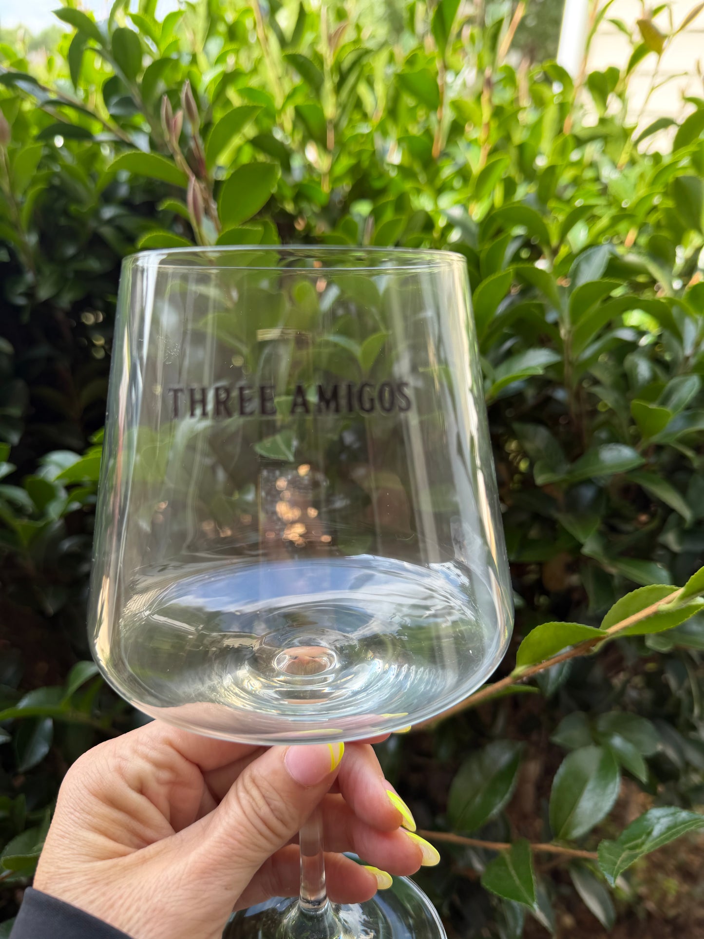 Z custom tumblers wine glasses and coasters - 3 Amigos - Jaimie Goddard