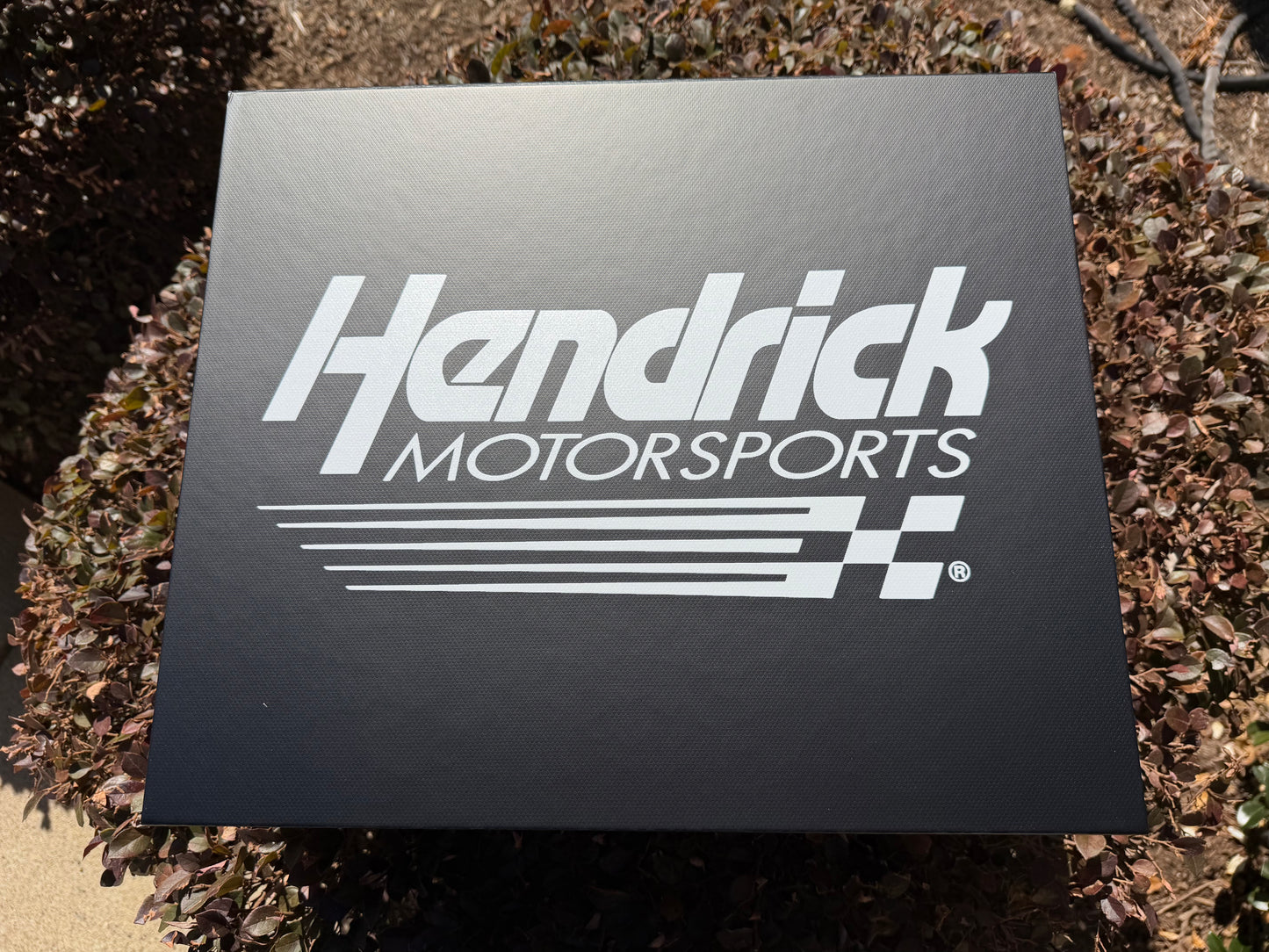 Z- Beth Jones - Custom boxes with Logos